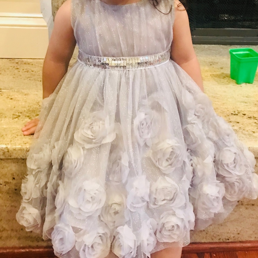 Sliver net frock for toddler